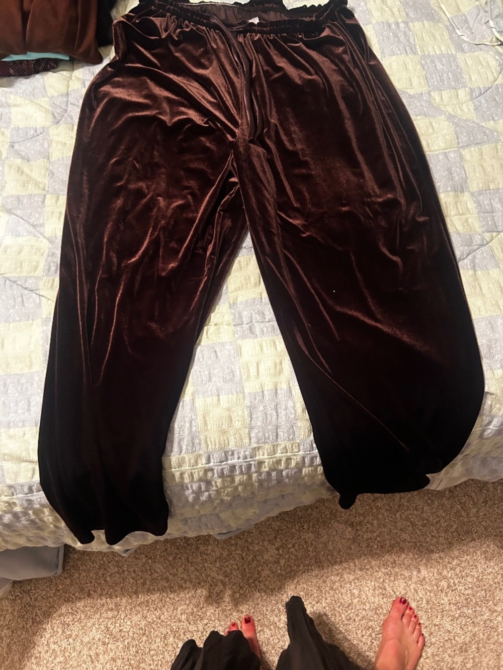 Worthington Brown 1X velvet pants
